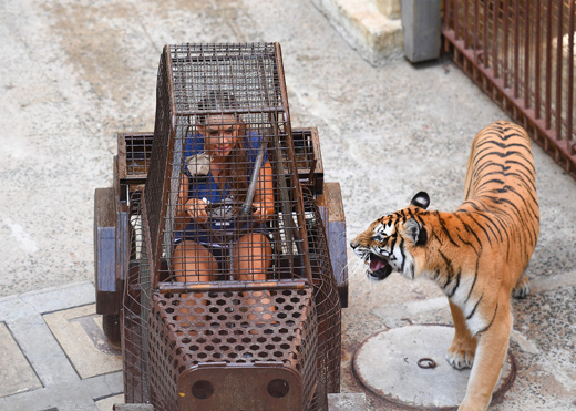 Fort Boyard