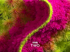 BBC Two