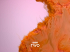 BBC Two