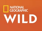 National Geographic Wild