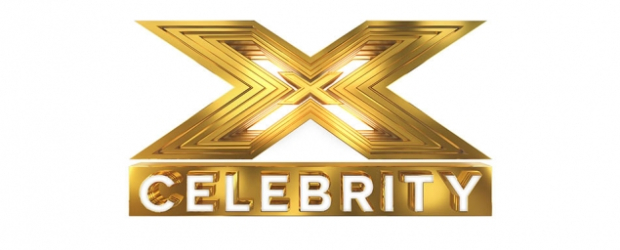 Celebrity X Factor