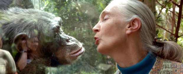 Jane Goodall