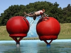 Total Wipeout