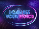 I Can See Your Voice