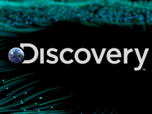 Discovery