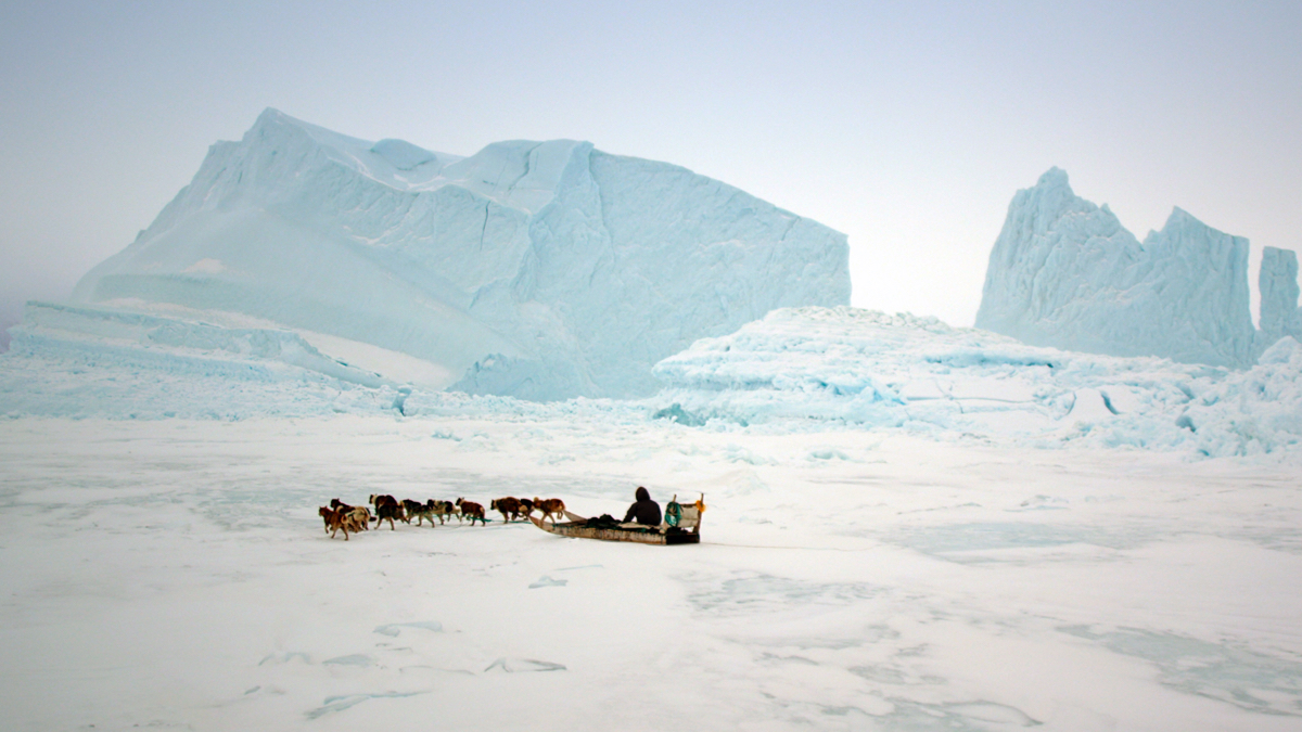 The Last Ice - Rettung für die Arktis