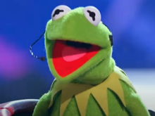 Kermit bei Masked Singer