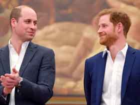 Harry & William: What Went Wrong?