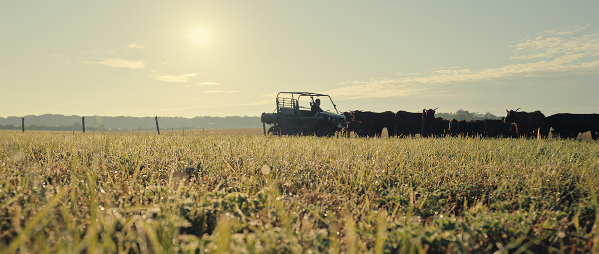 Farm Experiment