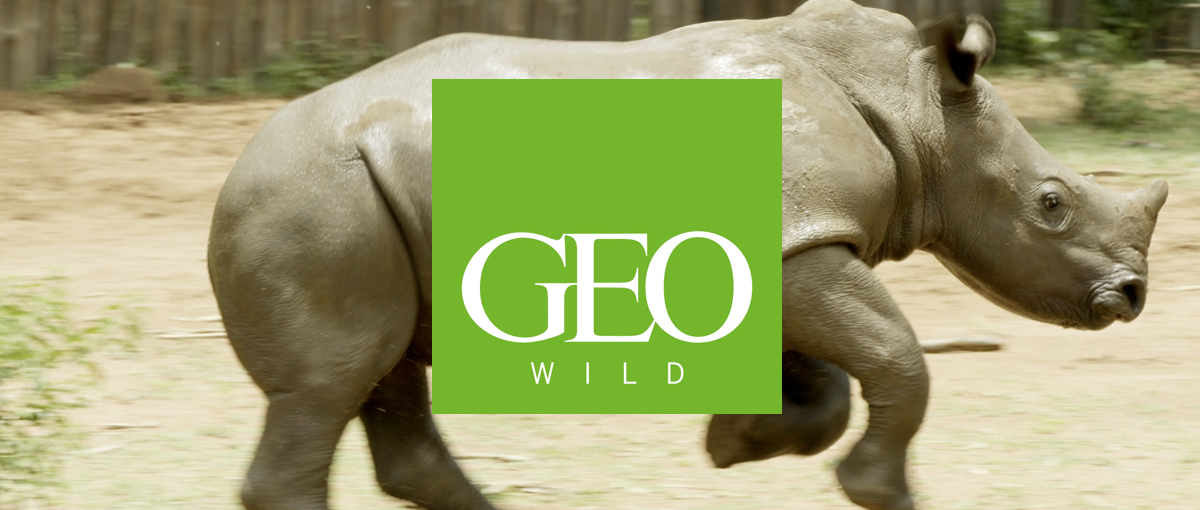 Geo Wild