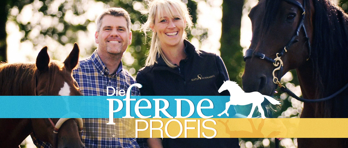 Die Pferdeprofis