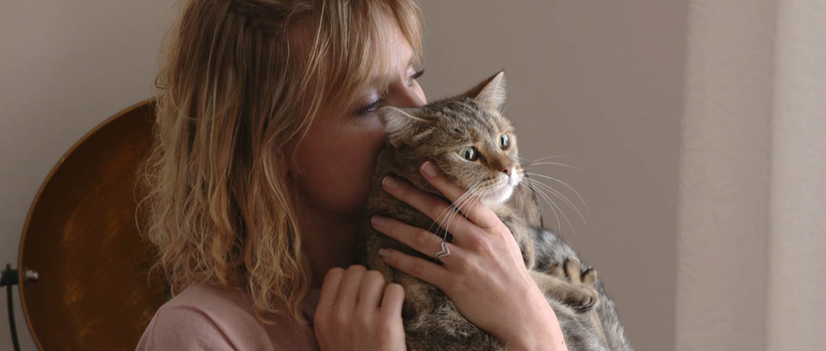 Wenn keiner guckt - Das geheimnisvolle Leben unserer Katzen