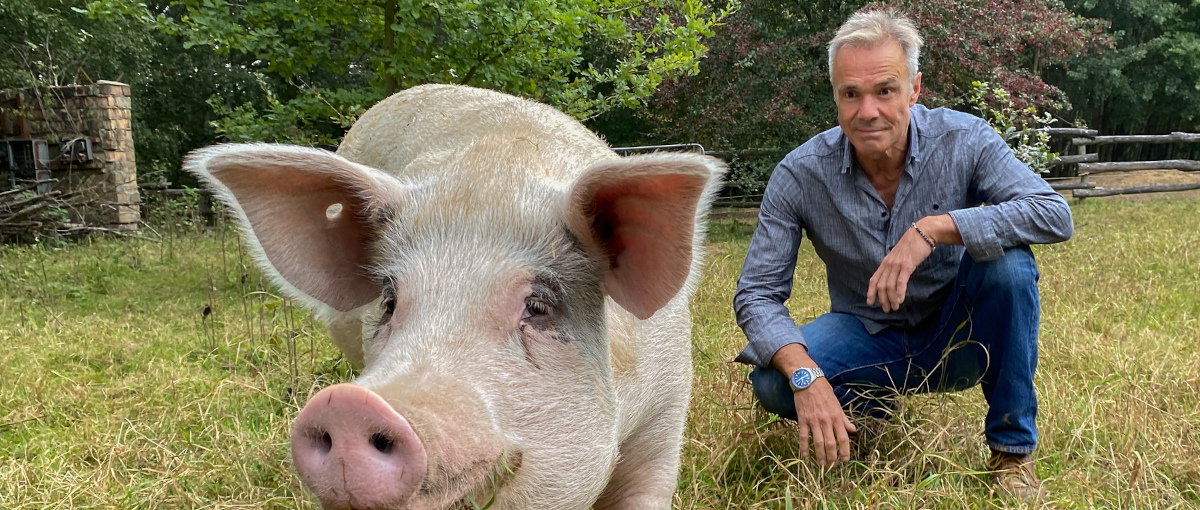 Hannes Jaenicke: Im Einsatz für das Schwein