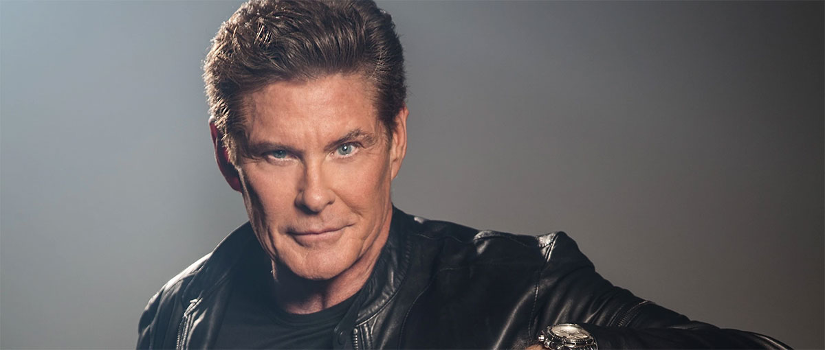 David Hasselhoff / Ze Network