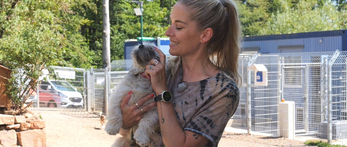 Dein perfekter Hund