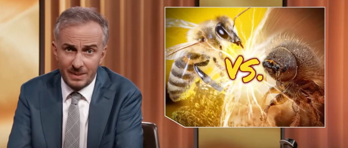 ZDF Magazin Royale - Bienen