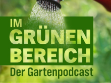 Im Grünen Bereich