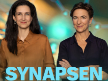 Synapsen