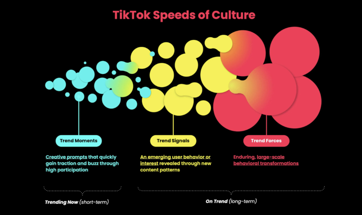 TikTok-Trends