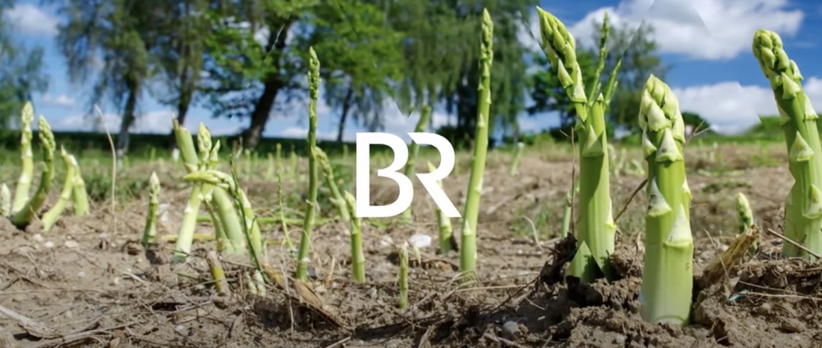Bayerischer Rundfunk