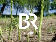 Bayerischer Rundfunk