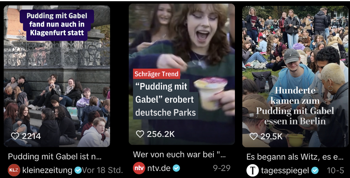 TikTok / Kleine Zeitung, ntv, Tagesspiegel