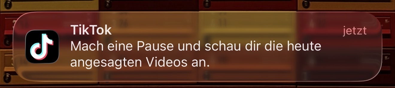 TikTok-Pause