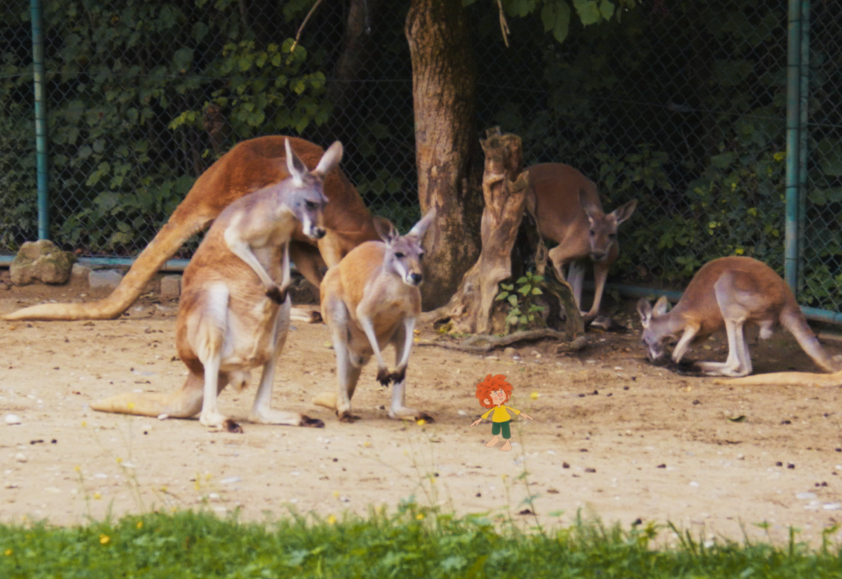 Schnick Schnack – Pumuckl treibt Schabernack