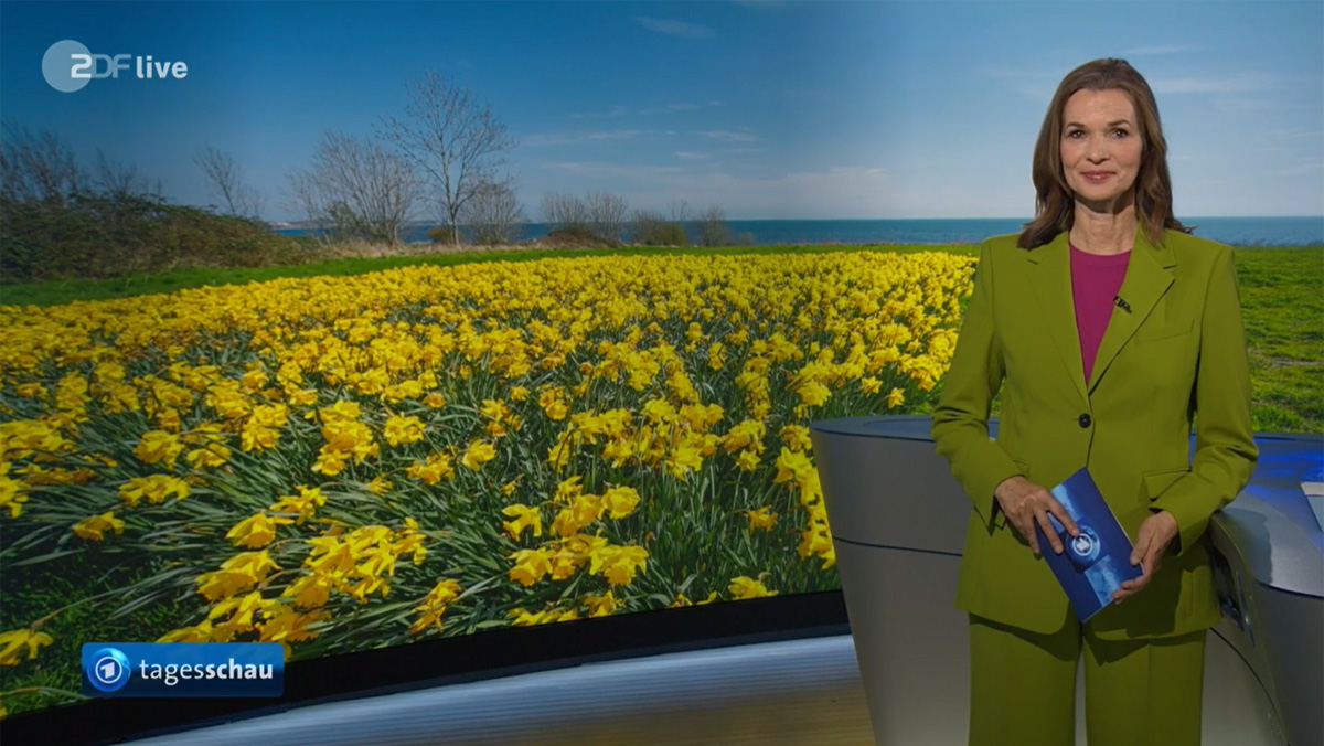 Julia-Niharika Sen im ZDF