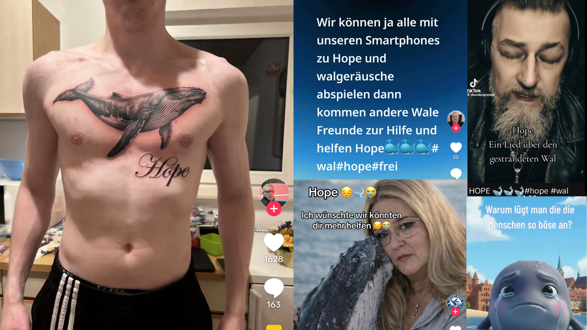 BeitragsaufkommenHope