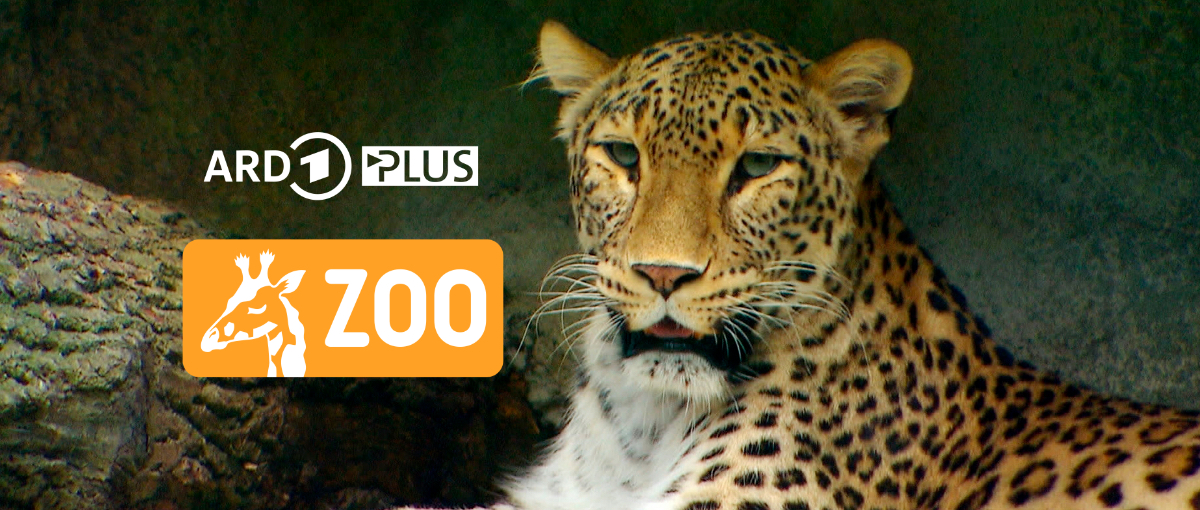 ARD Zoo Plus