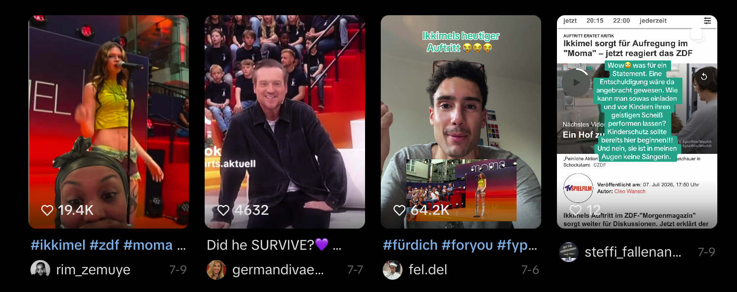 TikTokNische