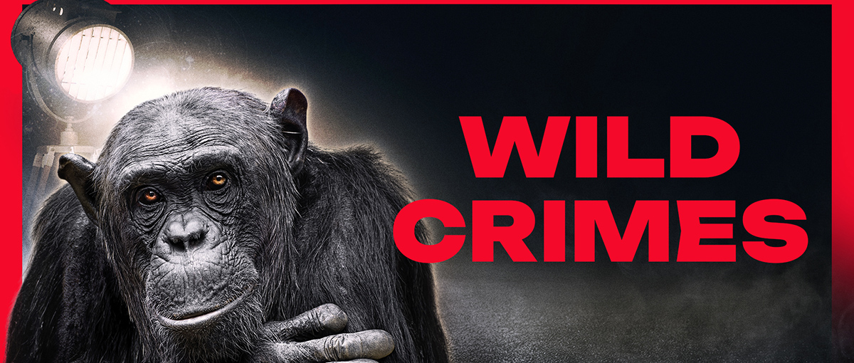 Wild Crimes / Unser Charly