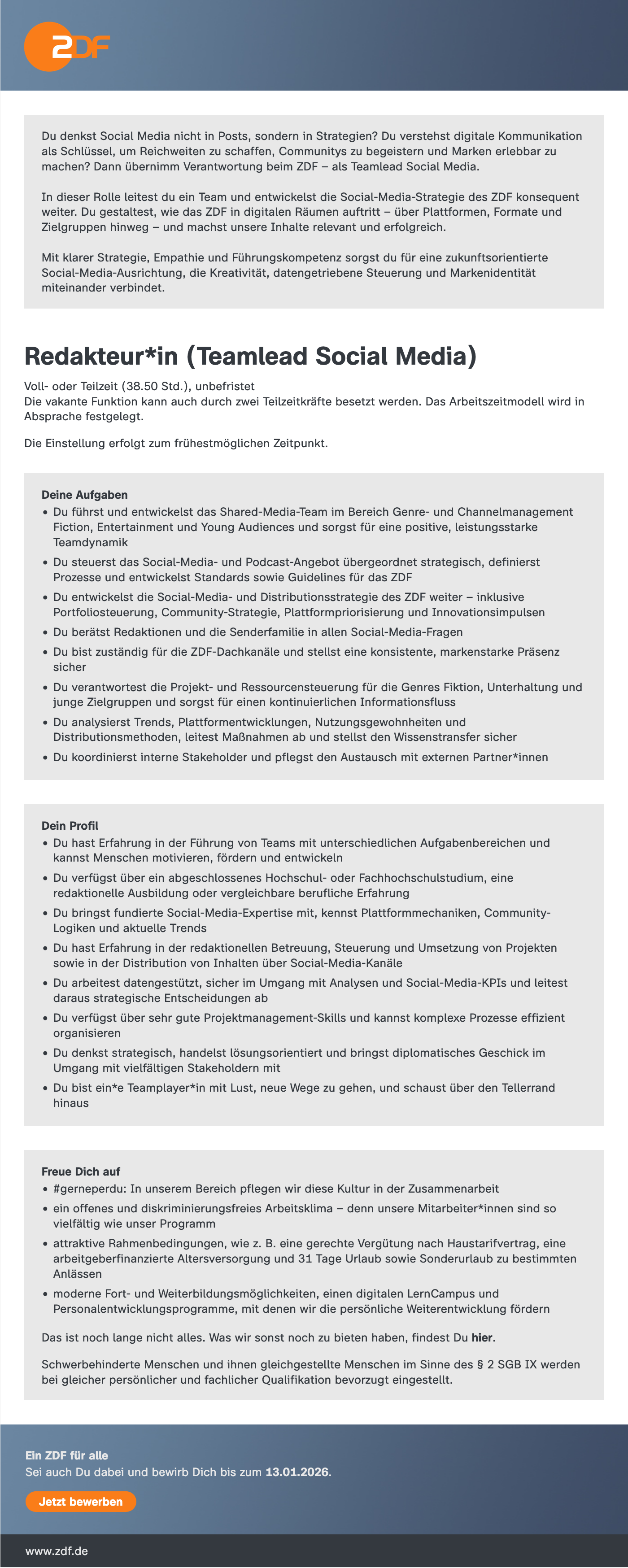 Redakteur*in (Teamlead Social Media)